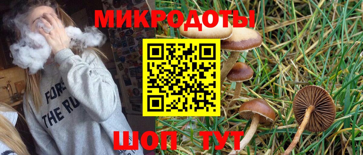 Псилоцибиновые грибы Psilocybe  что такое наркотик  Холмск  Вход с VPN 